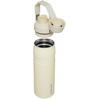IceFlow™ Bottle with Fast Flow Lid | 24 OZ