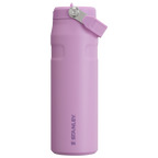 The IceFlow™ Bottle with Flip Straw Lid | 24 OZ