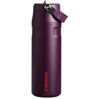 The IceFlow™ Bottle with Flip Straw Lid | 24 OZ