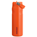 The IceFlow™ Bottle with Flip Straw Lid | 24 OZ