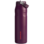 The IceFlow™ Bottle with Flip Straw Lid | 36 OZ