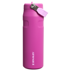 The IceFlow™ Bottle with Flip Straw Lid | 24 OZ